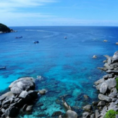 景点模块 