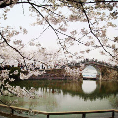 活动模块 
