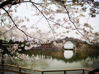 華東旅行團(tuán)_香港旅游團(tuán)華東