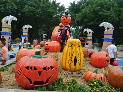 <长隆欢乐世界成人门票>5.9-12.31_客户回访记录_途牛旅游网