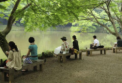 景点模块 
