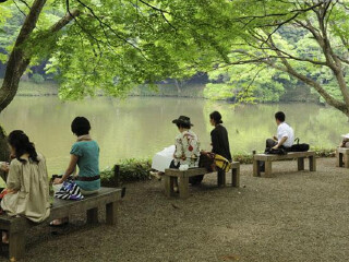 近期日本游價(jià)格_10月1日日本旅游報(bào)價(jià)_日本旅游幾月份最好