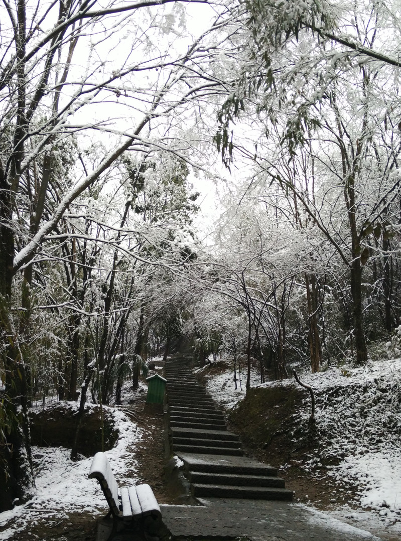 回味下"大雪磅礴"的那几日_桐庐游记_途牛