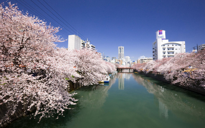 神奈川县