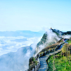 小交通模块 