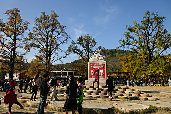 12月去随州穿什么_随州十二月穿什么鞋_12月