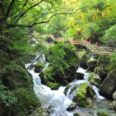 景点模块 