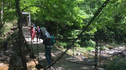  抚顺和睦国家森林公园1日游>登山避暑,只含门票