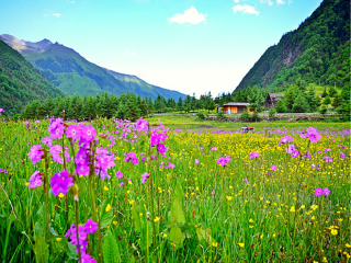 去云南香格里拉旅游_云南香格里拉旅游價格多少跟團_云南香格里拉旅游大約多少錢