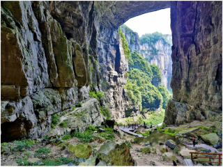 重慶跟團(tuán)還是自由行_重慶旅游價(jià)格多少_旅游團(tuán)重慶