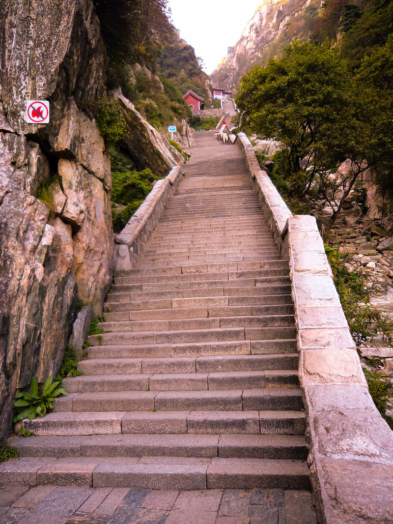 不断攀登人生的阶梯,只为能与你并肩站在泰山之巅:俯瞰最美风景