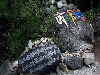 怎么去西藏林芝旅游_深圳特價(jià)西藏林芝游_國(guó)慶西藏林芝游價(jià)格