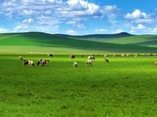 呼伦贝尔旅游深圳出发_深圳旅游呼伦贝尔_深圳去呼伦贝尔旅游价格