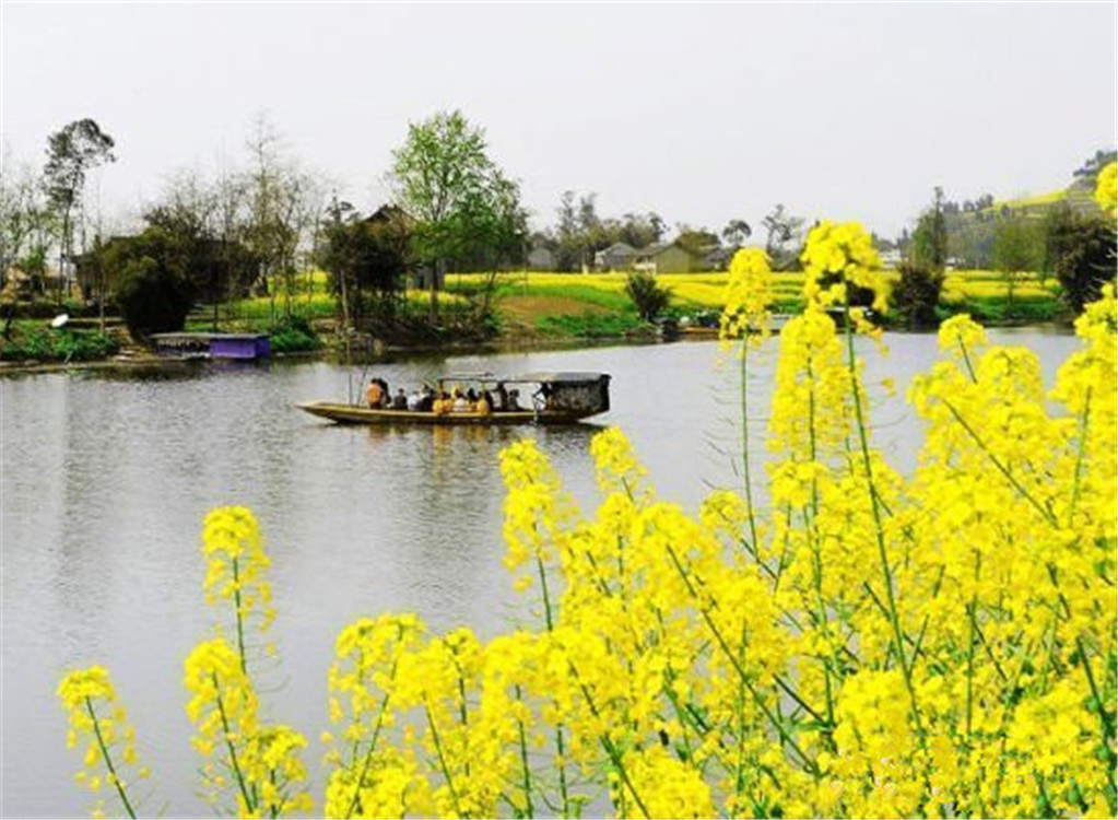  潼南崇龛万亩油菜花基地-双江古镇汽车1日游>踏青赏花,主城多区域