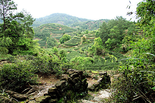 3月去武夷山带什么_去武夷山准备什么_武夷山