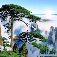 景点模块 