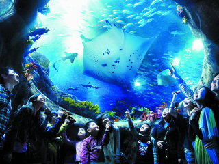 香港旅游報(bào)價(jià)_香港旅游要多少錢2021_香港高端品質(zhì)旅游團(tuán)
