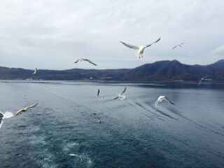 支笏湖旅游景点介绍_2018支笏湖简介_亚洲日