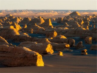 过年去额济纳旗胡杨林旅游团_额济纳旗胡杨林七日游_几月份去额济纳旗胡杨林旅游好