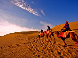 过年去额济纳旗胡杨林旅游团_额济纳旗胡杨林七日游_几月份去额济纳旗胡杨林旅游好