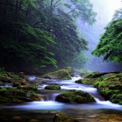 景点模块 