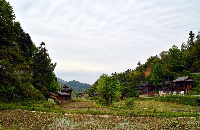 地址:贵州省黔东南州剑河县久仰乡基佑村门票:免费.
