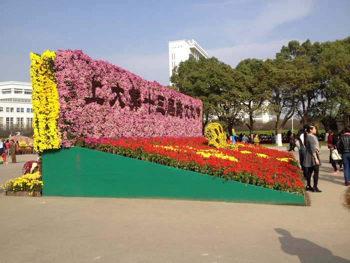 【上海】2015年上海大学菊花展开幕啦!