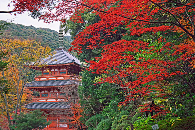 福冈龙宫寺旅游攻略_龙宫寺景点介绍_龙宫寺景点图片