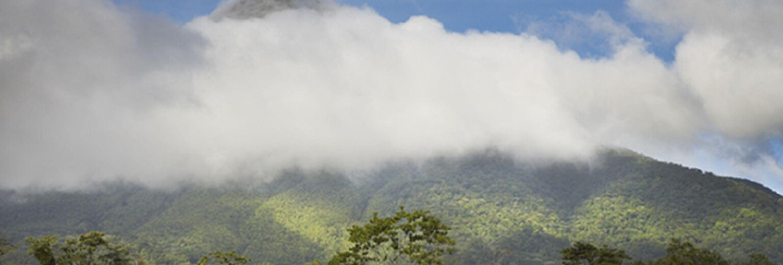 【2018】蒙特维多云雾森林旅游攻略_蒙特维多