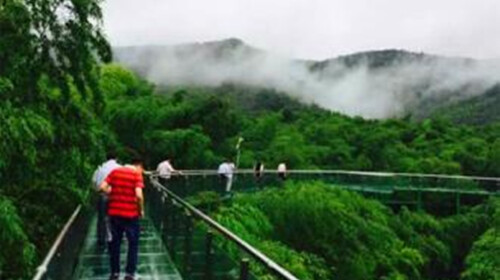 宜兴陶祖圣境-竹尖长廊-大觉寺1日游 送乌米饭