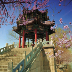 景点模块 