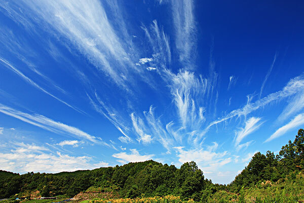 奈良值得推荐的酒店是什么_奈良酒店推荐_奈