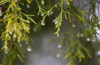 钏路湿原户外活动