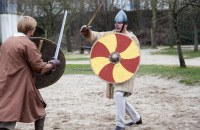 乔维克北欧海盗节