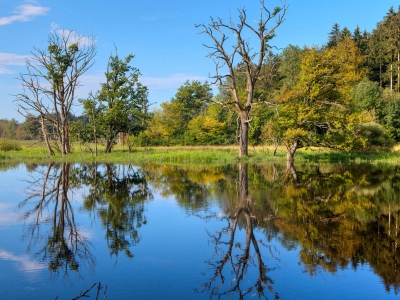Gray Line Miami Key West Trip天气预报 景区一周天气 迈阿密旅游景点天气查询 途牛