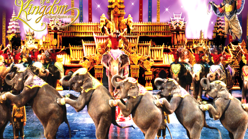 新加坡-普吉岛6晚8日游 北京直飞新加坡,热带风