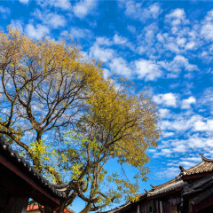小交通模块 