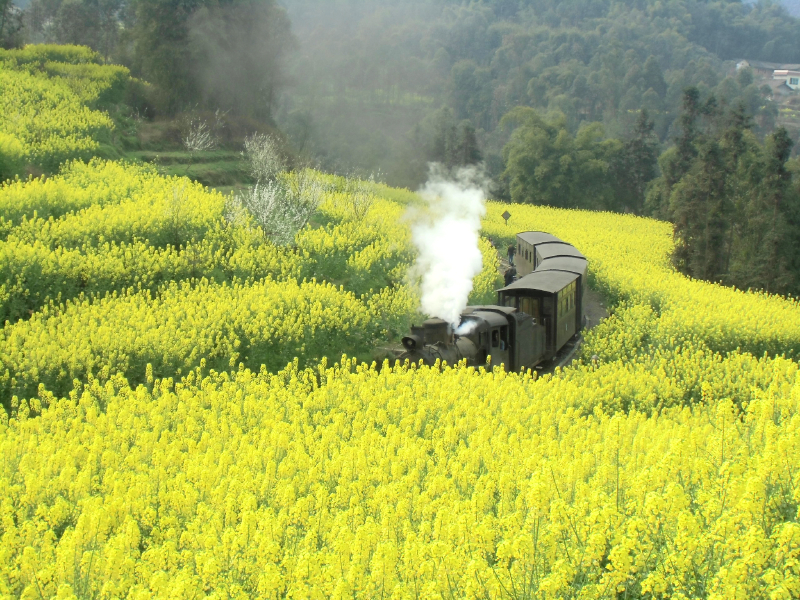  定制旅游系列之嘉阳小火车沐川竹海2日跟队自驾游>成都集结,10人成团