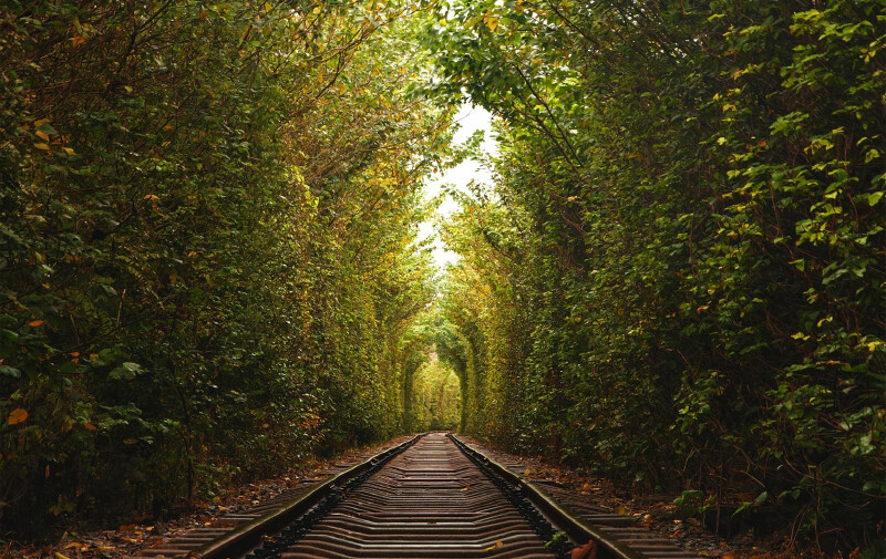 ƽվ