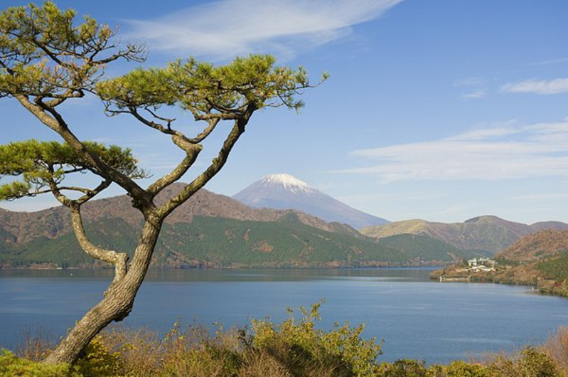 富士山精进湖温泉酒店地址_富士山精进湖温泉酒店在哪