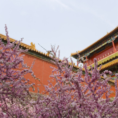 景点模块 