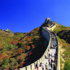 景点模块 