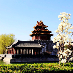 景点模块 