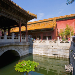 景点模块 