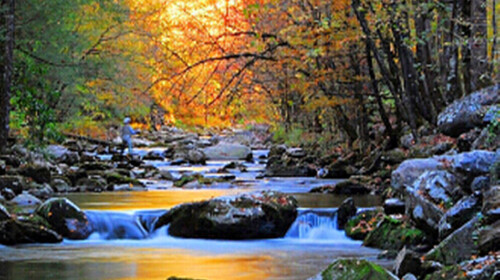 美国东海岸华盛顿-费城-田纳西4晚5日游 2人成