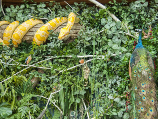 以往國(guó)慶泰國(guó)芭提雅游價(jià)格_去泰國(guó)芭提雅游要多少錢_泰國(guó)芭提雅游8月份報(bào)價(jià)