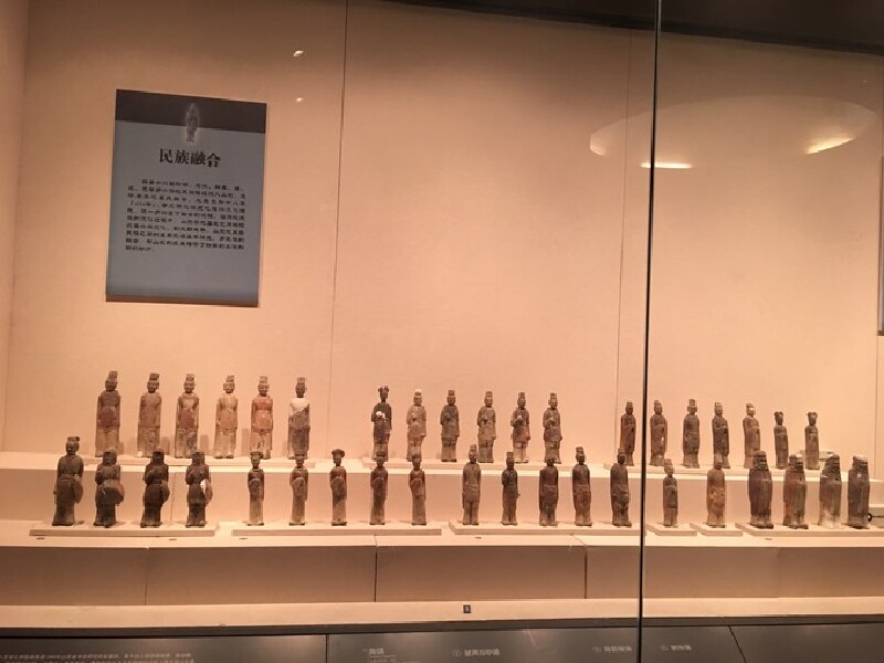 山东省博物馆游记