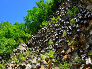 重慶三峽游花多少錢(qián)_重慶三峽旅游幾月份最合適_幾月份去重慶三峽旅游最好