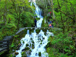 重慶三峽游花多少錢(qián)_重慶三峽旅游幾月份最合適_幾月份去重慶三峽旅游最好