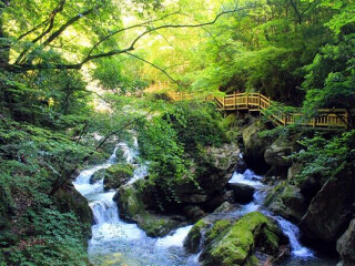 重慶三峽游花多少錢(qián)_重慶三峽旅游幾月份最合適_幾月份去重慶三峽旅游最好